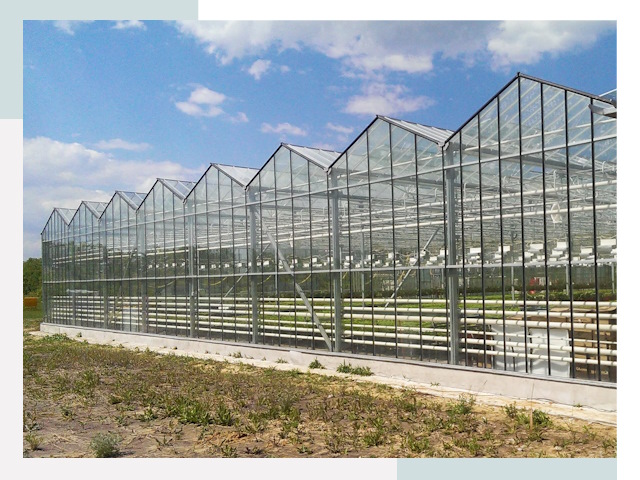Строительство теплиц в Воскресенск от 620 руб. за м²